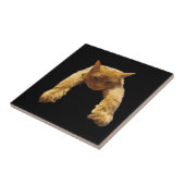 ジンジャーレイジーキャットセラミックタイル タイル (側面)