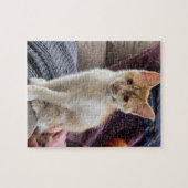 ジンジャー子猫 ジグソーパズル (横)