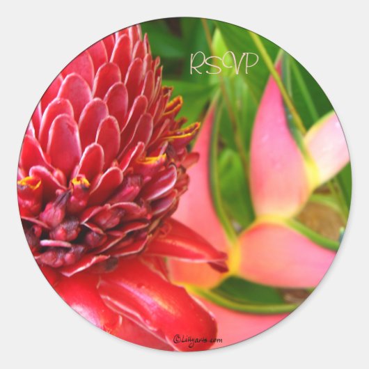 ジンジャー結婚トロピカル封筒用シール/シール ラウンドシール (正面)