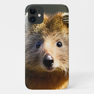 ジンジャー・クオッカを五色に。 iPhone 11 ケース