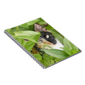 ジンニアの中のカラーキャット ノートブック (右側)