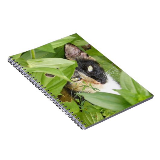 ジンニアの中のカラーキャット ノートブック (右側)