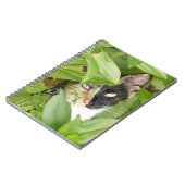 ジンニアの中のカラーキャット ノートブック (左側)