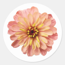 ジンニアの花の自然写真 ラウンドシール