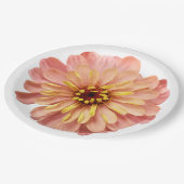 ジンニアスフローラフラワー自然紙プラ ペーパープレート (アングル)