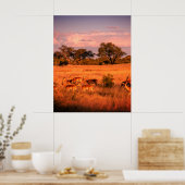 ジンバブエはアンテロープの純粋な自然 ポスター (キッチン)