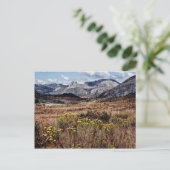 ジンバブエ東部の高原 ポストカード (スタンド正面)