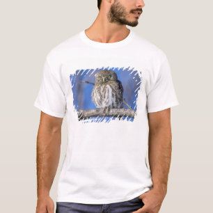 ジンバブエ・シロボシミミフクロウクローズアップ Tシャツ