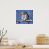 ジンバブエ。真珠の斑点フクロウのクローズアップ ポスター (キッチン)