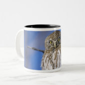 ジンバブエ。真珠斑点フクロウのクローズアップ ツートーンマグカップ (正面左)