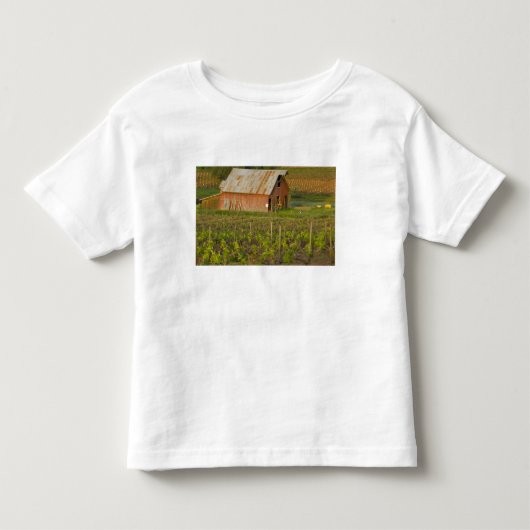 ジンファンデルの葡萄畑の縁の古い赤い納屋 トドラーTシャツ (正面)