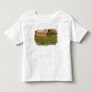 ジンファンデルの葡萄畑の縁の古い赤い納屋 トドラーTシャツ