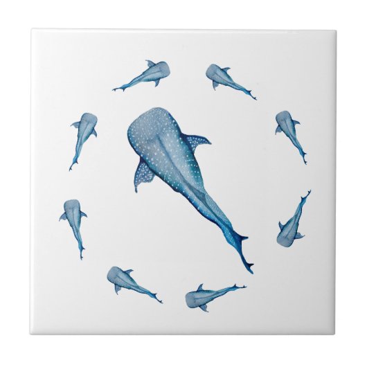 ジンベイザメ タイル (正面)