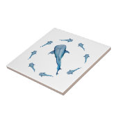 ジンベイザメ タイル (側面)