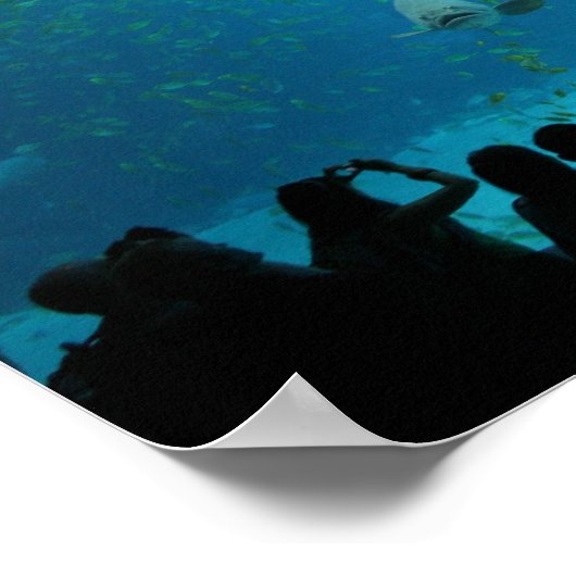 ジンベイザメ ポスター (角)