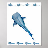 ジンベイザメ ポスター (正面)