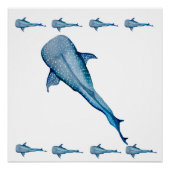 ジンベイザメ ポスター (正面)