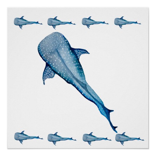 ジンベイザメ ポスター (正面)