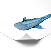 ジンベイザメ ポスター (コーナー)