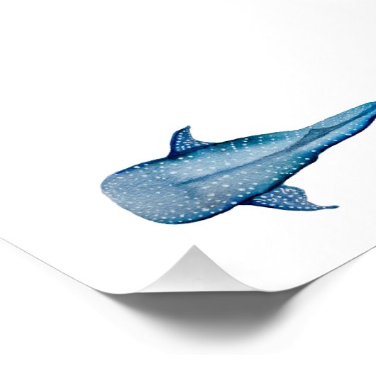 ジンベイザメ ポスター (コーナー)