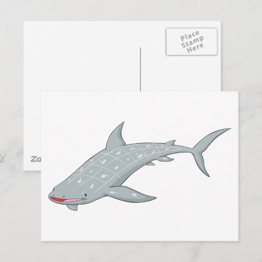 ジンベイザメ ポストカード (正面/裏面)
