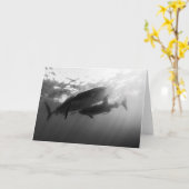 ジンベイザメNotecard カード (黄色い花)