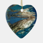 ジンベエザメとトモウズラ セラミックオーナメント (右)