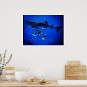 ジンベエザメ ポスター (キッチン)