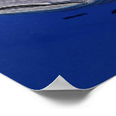 ジンベエザメ ポスター (角)