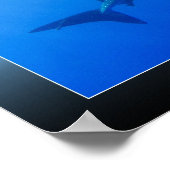 ジンベエザメ ポスター (角)