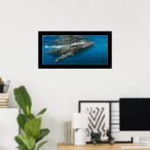 ジンベエザメ#7 ポスター (ホームオフィス)