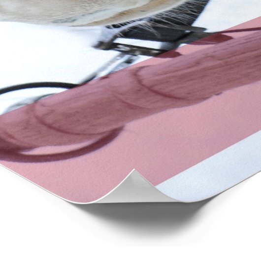 ジンルベル ポスター (角)