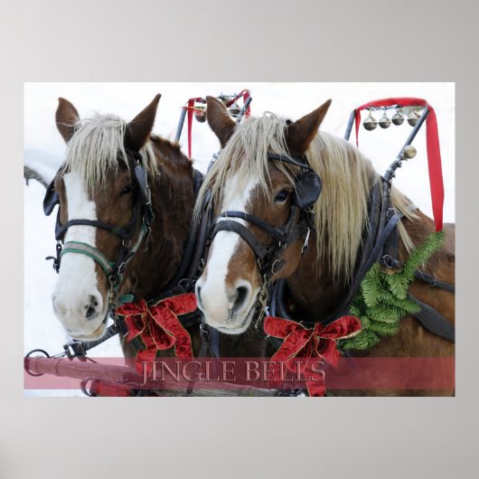 ジンルベル ポスター (正面)