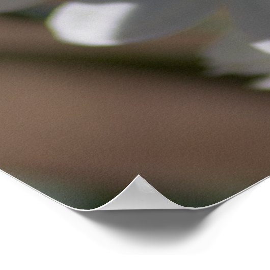 ジヴァ紙ホワイトフラワー ポスター (角)