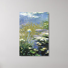 ジヴェルニーの青々としたアガパンツスの花 キャンバスプリント