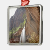 ジーオン国立公園のエメラルドプール滝III メタルオーナメント (左)