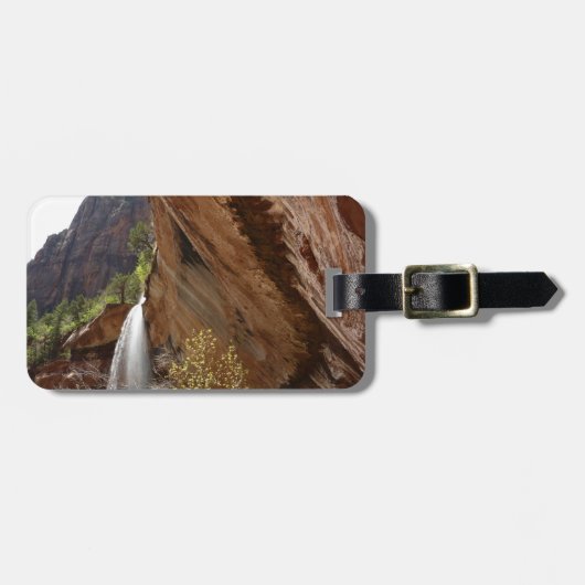 ジーオン国立公園のエメラルドプール滝III ラゲッジタグ (正面横)