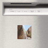 ジーオン国立公園のエメラルドプール秋II マグネット (インサイチュ (食洗機))