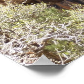 ジーオン国立公園のエメラルドプール秋IV ポスター (角)