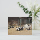 ジーゲンファミリー ポストカード (スタンド正面)