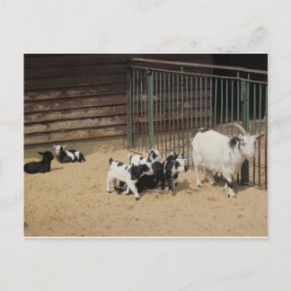 ジーゲンファミリー ポストカード