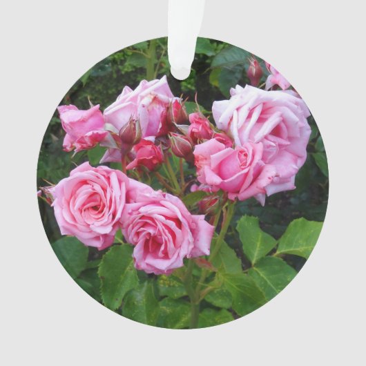 ジーンベーナーバラ#3オーナメント オーナメント (正面)