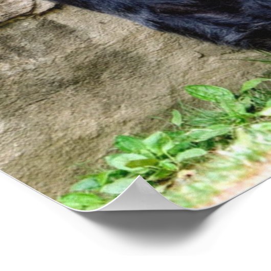 ジ救ゴリラ ポスター (角)