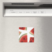 スイカのスライス マグネット (インサイチュ (食洗機))