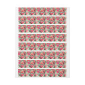 スイカのパターン作成4 ラップアラウンドラベル (シート)