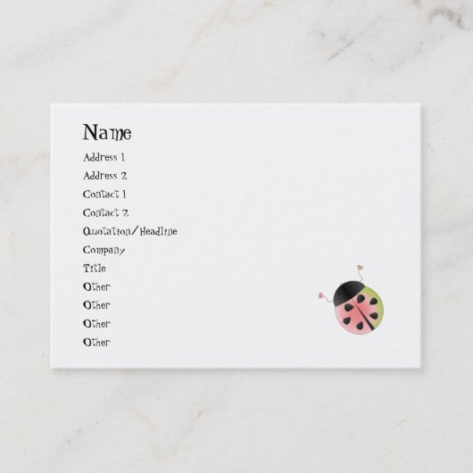 スイカのラディバグ 名刺 (正面)