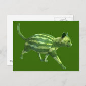 スイカの日の猫 ポストカード (正面/裏面)