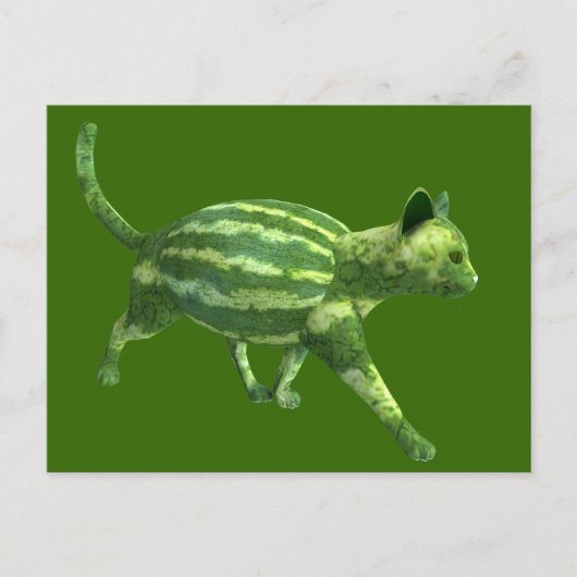 スイカの日の猫 ポストカード (正面)