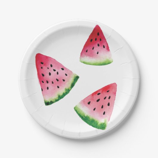 スイカの果実は水色を切る ペーパープレート (正面)