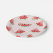 スイカをテーマにしたパーティー紙プレート ペーパープレート (アングル)